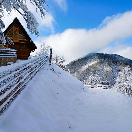 Drvene Kuce Suska - Wooden Houses Suska Zaovine Ngoại thất bức ảnh